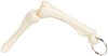 Customized Knee Joint Bone Keyring