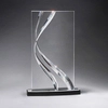 Large Clear Award