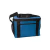 Large Cooler Bag