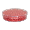 Large Round Show Piece - With Candy Fillings