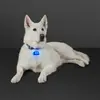 LED Dog Bone Safety Pet Light