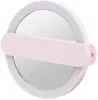 LED Mirror With Swivel Handle