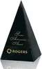 Marble Custom Trophy with Colorfill - Premium Corporate Recognition Award