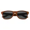 Matte Finish Malibu Sunglasses