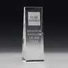 Optical Crystal McKinley Tower Award