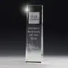 Optical Crystal McKinley Tower Award