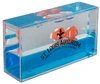 Mini Clownfish Liquid Wave Paperweight