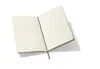 Moleskine® Soft Cover Ruled Large Notebook