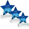 Nelson Star Award