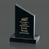 Custom Newport Marble Award, 1 Colorfill, 3 Sizes available