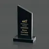 Custom Newport Marble Award, 1 Colorfill, 3 Sizes available