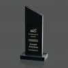 Custom Newport Marble Award, 1 Colorfill, 3 Sizes available