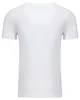 Next Level Apparel Men's CVC V-Neck T-Shirt