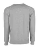 Next Level Apparel Unisex Laguna French Terry Raglan Sweatshirt