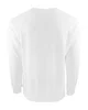 Next Level Apparel Unisex Laguna French Terry Raglan Sweatshirt