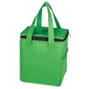 Peak Non-Woven Cooler Bag