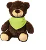 Perry the Teddy Bear (with T-Shirt)