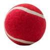 Pet Chew Toy Tennis Ball