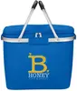 Picnic Fun Collapsible Cooler Basket