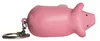 Logo Pig Keyring Stress Reliever