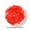Pink Flamingo Gummies in Jars