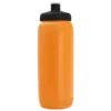 Pint Sport Bottle with Push-Pull Lid (16 oz.)