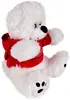 Plush Bear w/ Embroidered Paws and Hoodie
