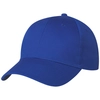 Polyester Cap