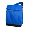 Polyester Insulated Lunch Bags with Handle & Pocket