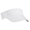 Polyester Visor