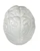 Prime Line Brain Shape Stress Reliever