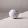 Pro Golf Ball Massager