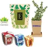 Promo Planter, 1-Pack Planter