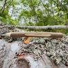 Customized Wooden Twig Pen with Bark