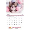 Puppies & Kittens Wall Calendar: 2025 Stapled