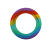 Rainbow Wrist Disc