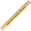 Ribbon Background Rulers - Clear Lacquer Finish