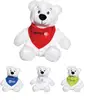 Robbie the Teddy Bear (with T-Shirt)