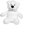 Robbie the Teddy Bear (with T-Shirt)
