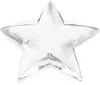 Savoy Star Paperweight