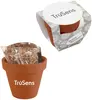 Seed Sensations Terracotta Pot with Holiday Wrapper