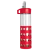 Sip-N-Go Glass Water Bottle - 20 Oz.