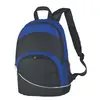 Sleek Curved Backpack