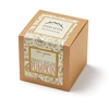 Small Sugar Pumpkin Growables Planter in Kraft Gift Box