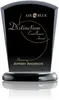 Custom Black Wooden Base Award with Aluminum Accent and 1 Colorfill