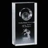 Custom 3D Golf Ball Crystal Award