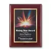 SpectraPrint™ Plaque (Mahogany Gold)