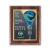 SpectraPrint™ Plaque (Walnut Gold)