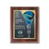 SpectraPrint™ Plaque (Walnut Gold)