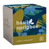 Personalized Sprigbox Basil Grow Kit - EcoSmart® Product